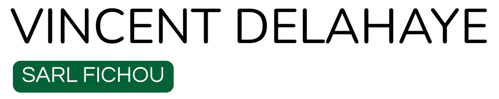 VINCENT DELAHAYE RENOVATION